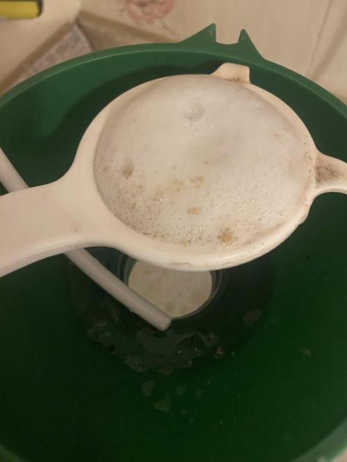 Fruity Durban | Living Soil Test. Week 3