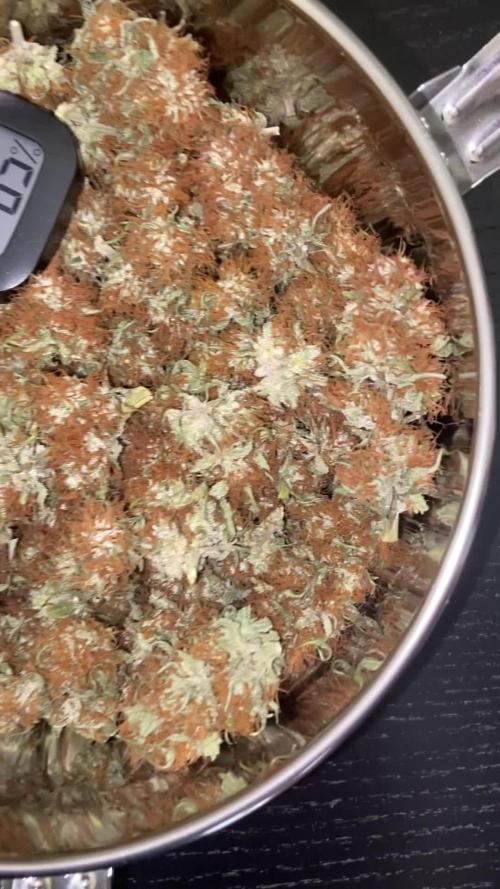 Fruity Durban | Living Soil Test