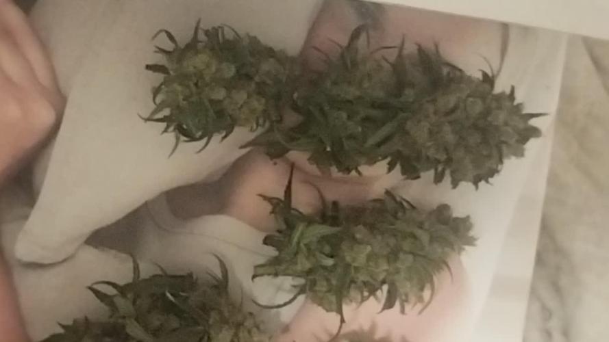 Bubblegum sherbert