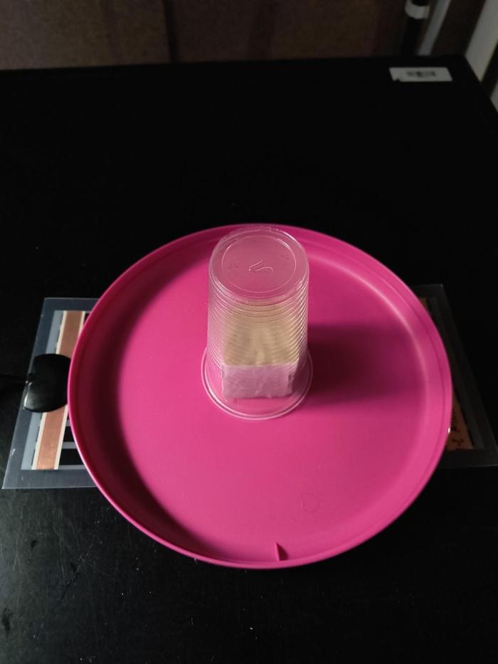 Dank'n Exotic Nugz!. Week 0