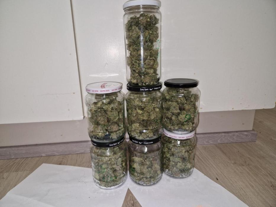 Sour Diesel, RQS, Fem, NFT. Week 14