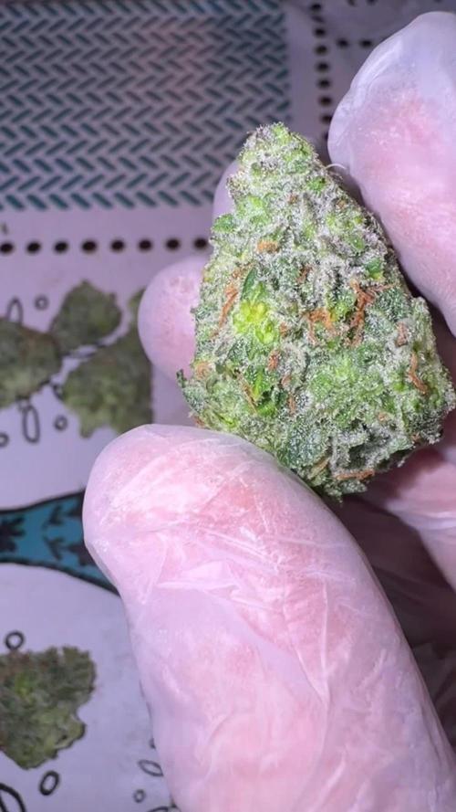 Pass the Dutchie’