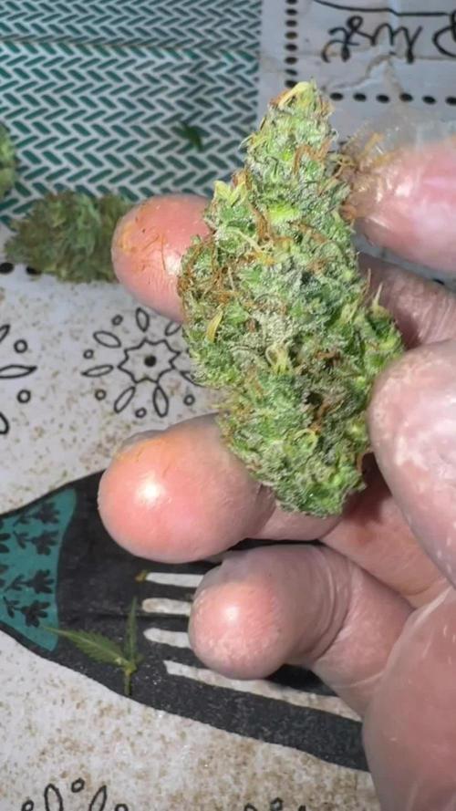 Pass the Dutchie’