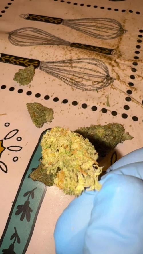 Pass the Dutchie’