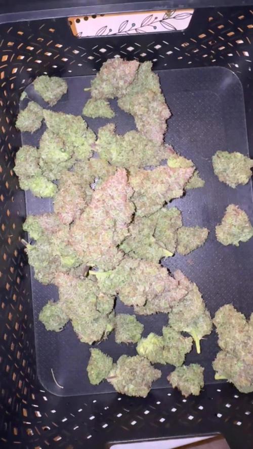 Pass the Dutchie’