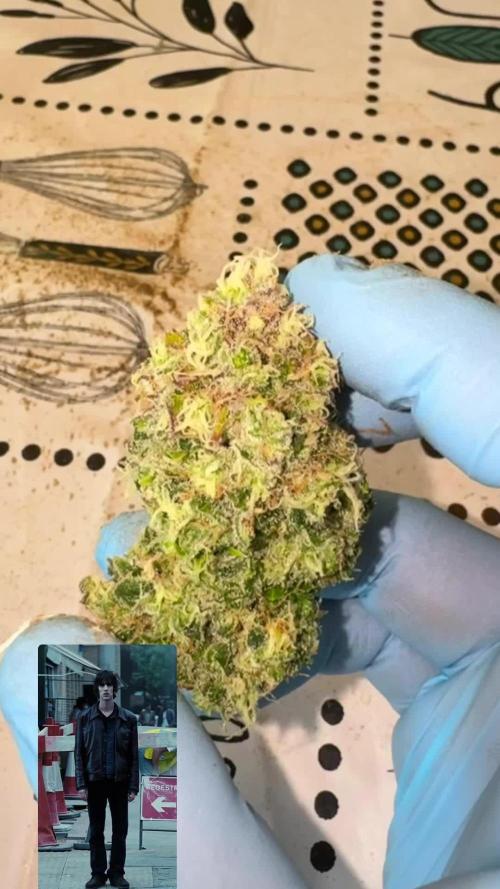 Bitter Sweet Symphony