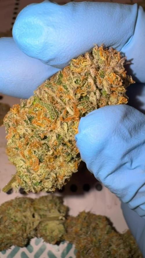 Bitter Sweet Symphony