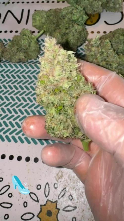 Bitter Sweet Symphony