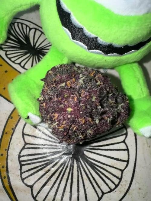 Gorilla Punch