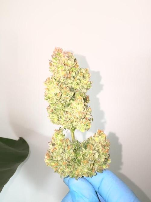 StrawNana