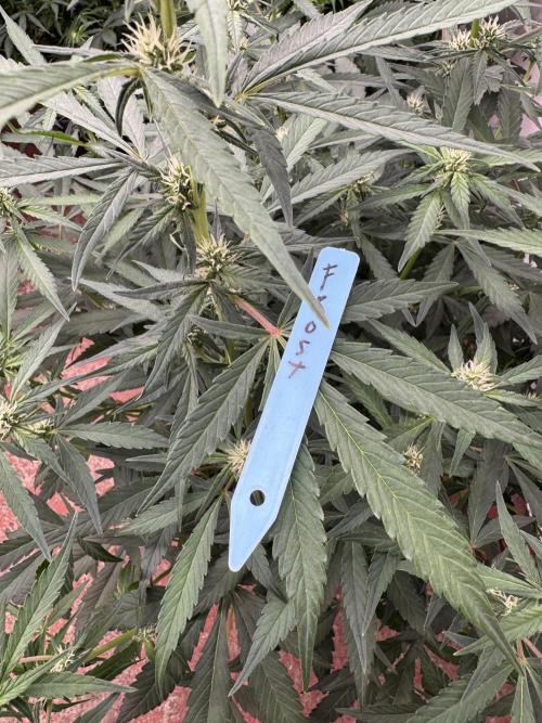 Getting ☃️ with the boys. Week 6