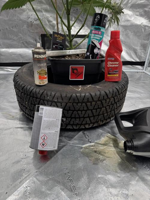 Fullgas!⛽️. Week 13