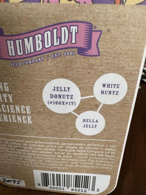 Doughnut Time 🍩. Week 0