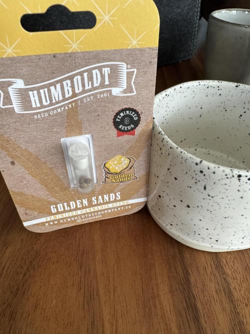 Golden sands 🏜️. Week 0