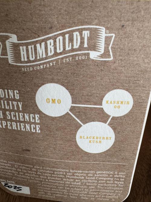 Golden sands 🏜️. Week 0