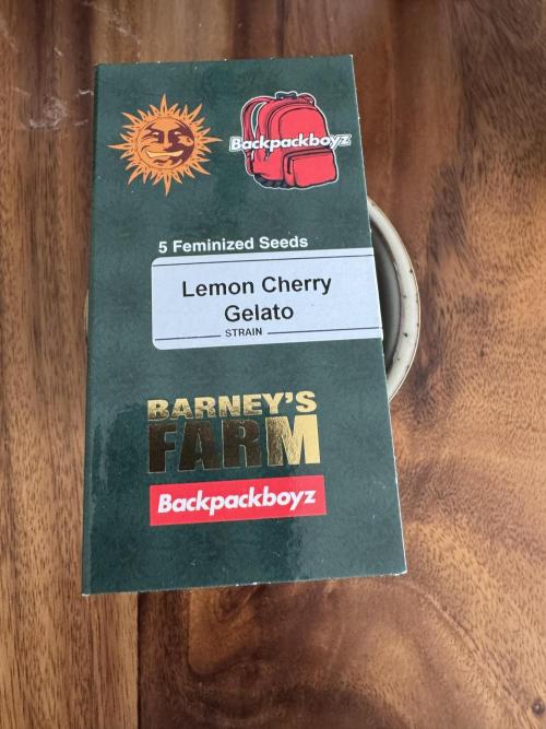 Da Valiotoro 🍦. Week 0