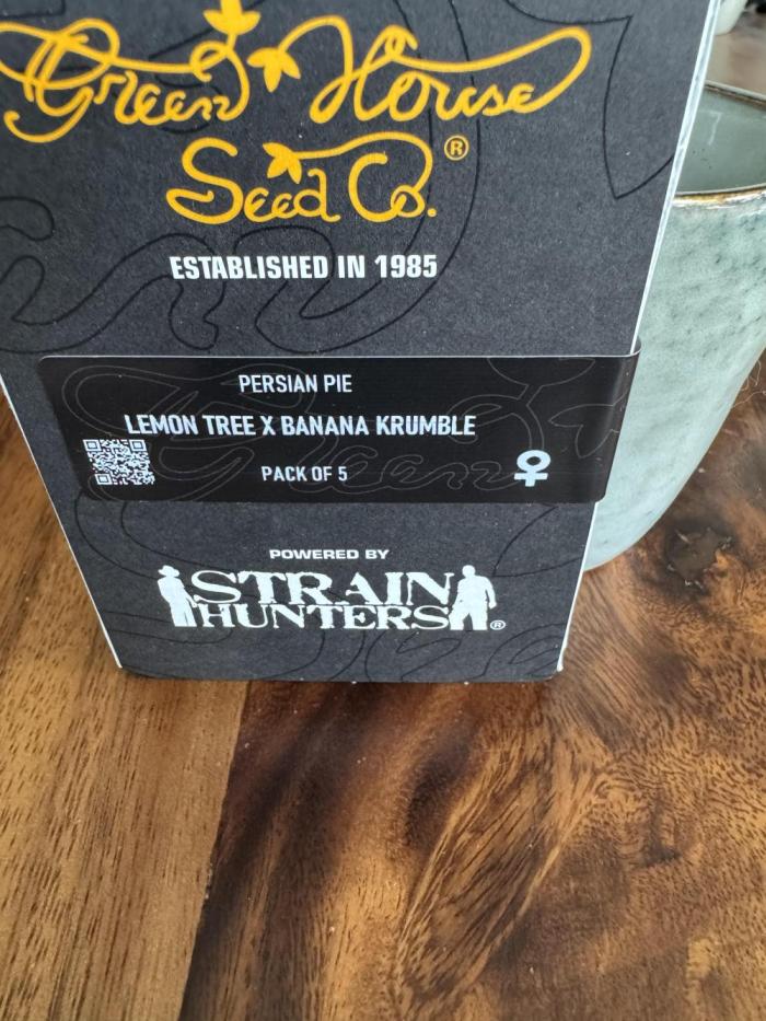 Lemon Tree x Banana Krumble. Week 0