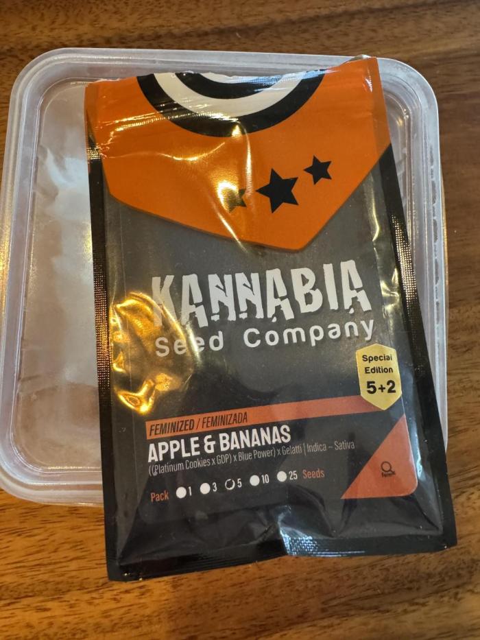 Tropical duo 🏝️. Week 0