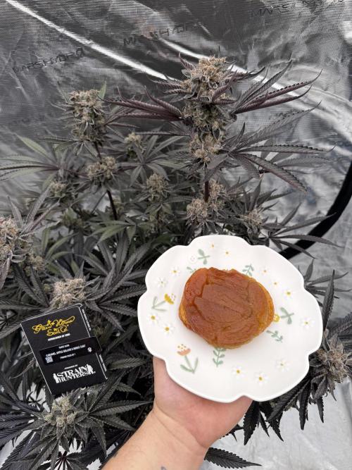 Fav dessert 🍎. Week 16