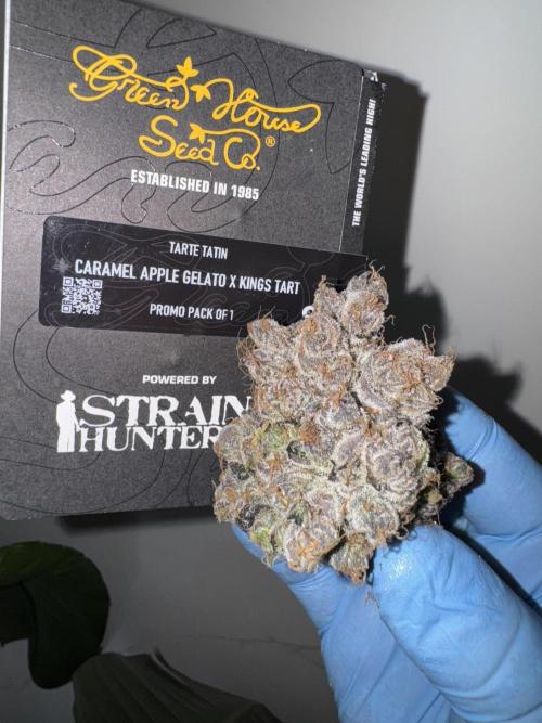 Fav dessert 🍎. Week 16