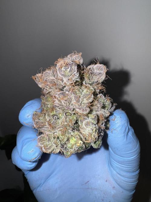 Fav dessert 🍎. Week 16