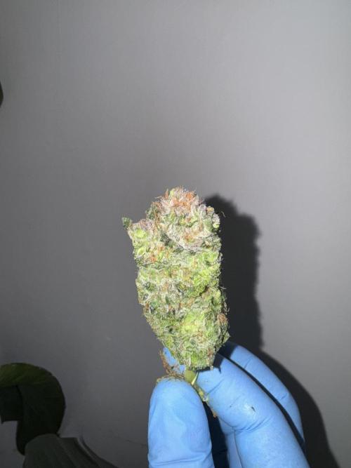 🔙 to the Future. Week 16