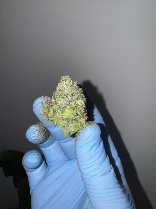 🔙 to the Future. Week 16