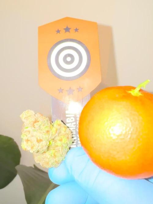 Citrus Slurpee 🍊🥤