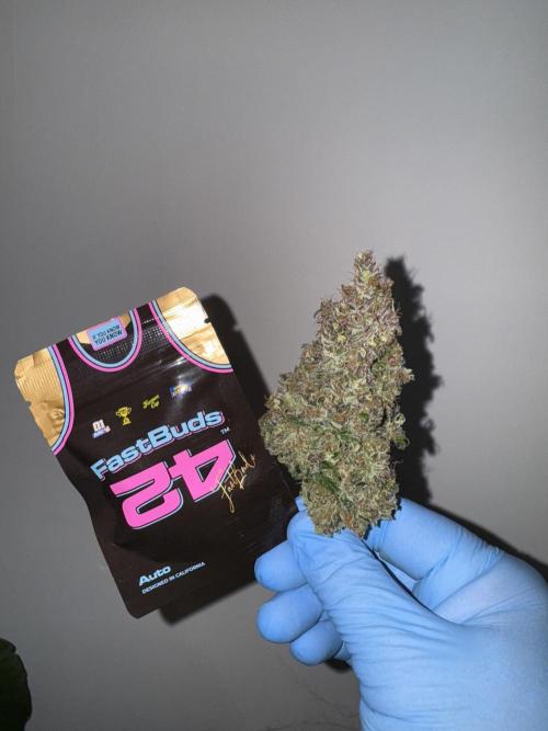 Berry ZenzZzation. Week 11