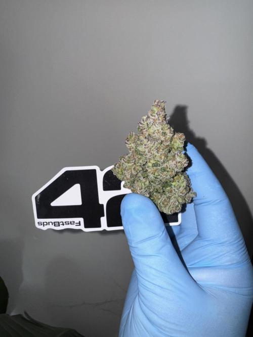 Getting ☃️ with the boys. Week 11