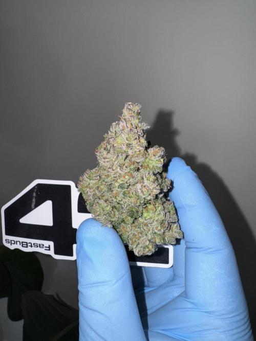 Getting ☃️ with the boys. Week 11