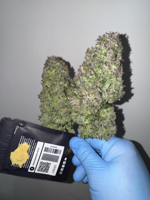 Getting ☃️ with the boys. Week 11