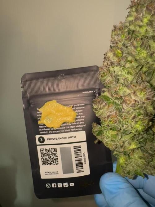 Getting ☃️ with the boys