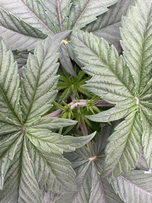 Doughnut Time 🍩. Week 3