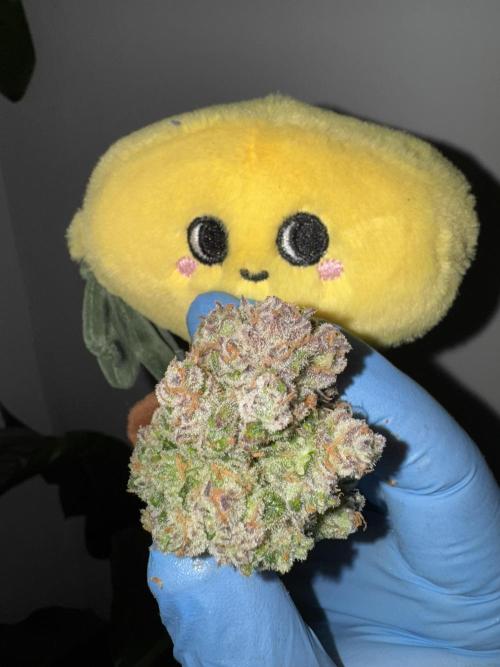 7 up 🍋‍. Week 11