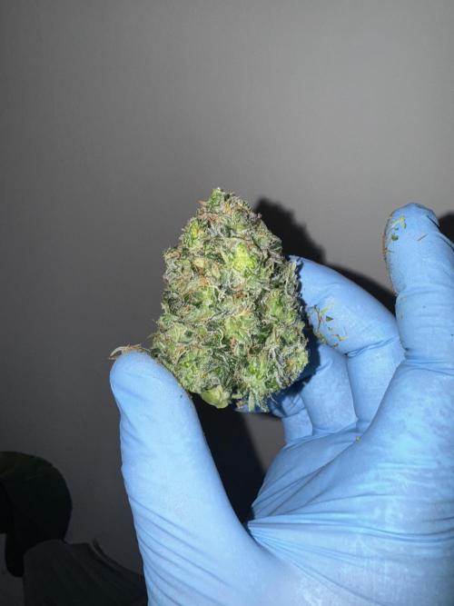 In a Galaxy far…🛸. Week 12