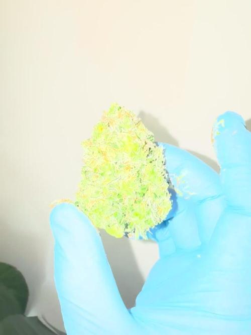 In a Galaxy far…🛸