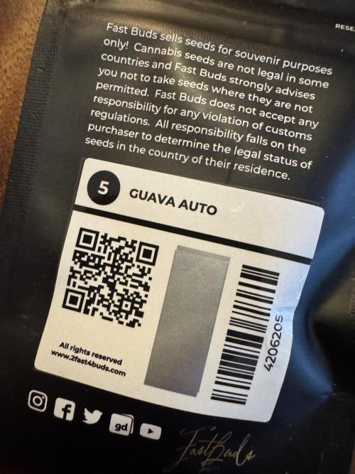 Guava 🍐🍓. Week 0