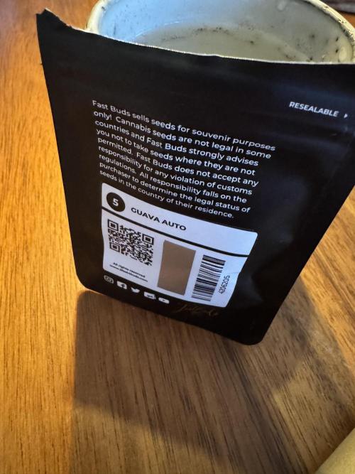 Guava 🍐🍓. Week 0