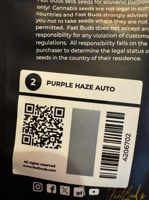 Purple Haze 😈. Week 0