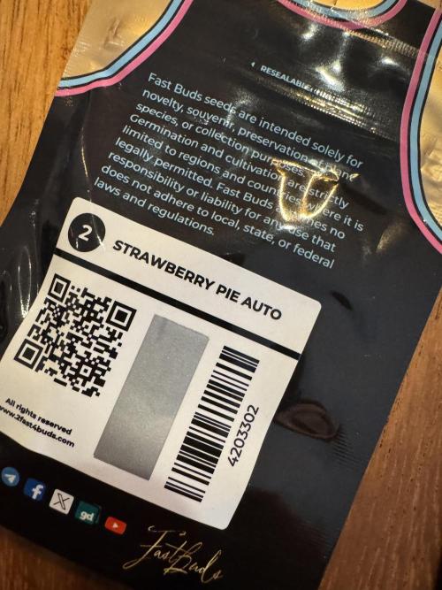 Sweet Crust 🥧. Week 0