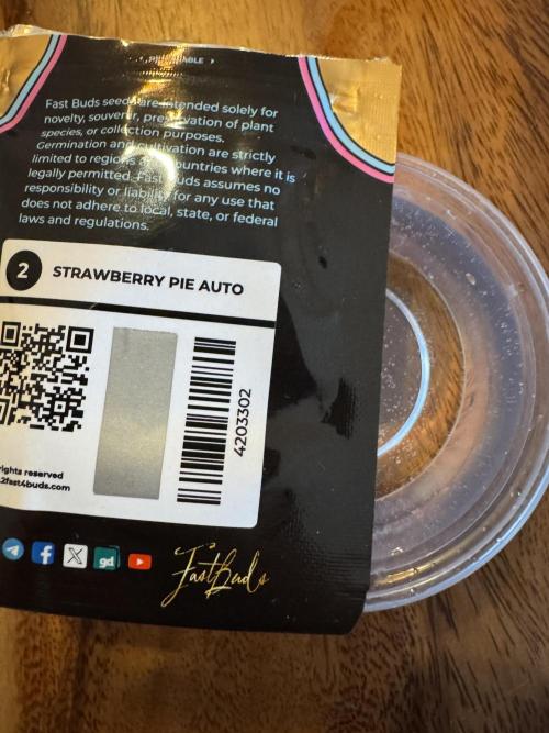 Sweet Crust 🥧. Week 0