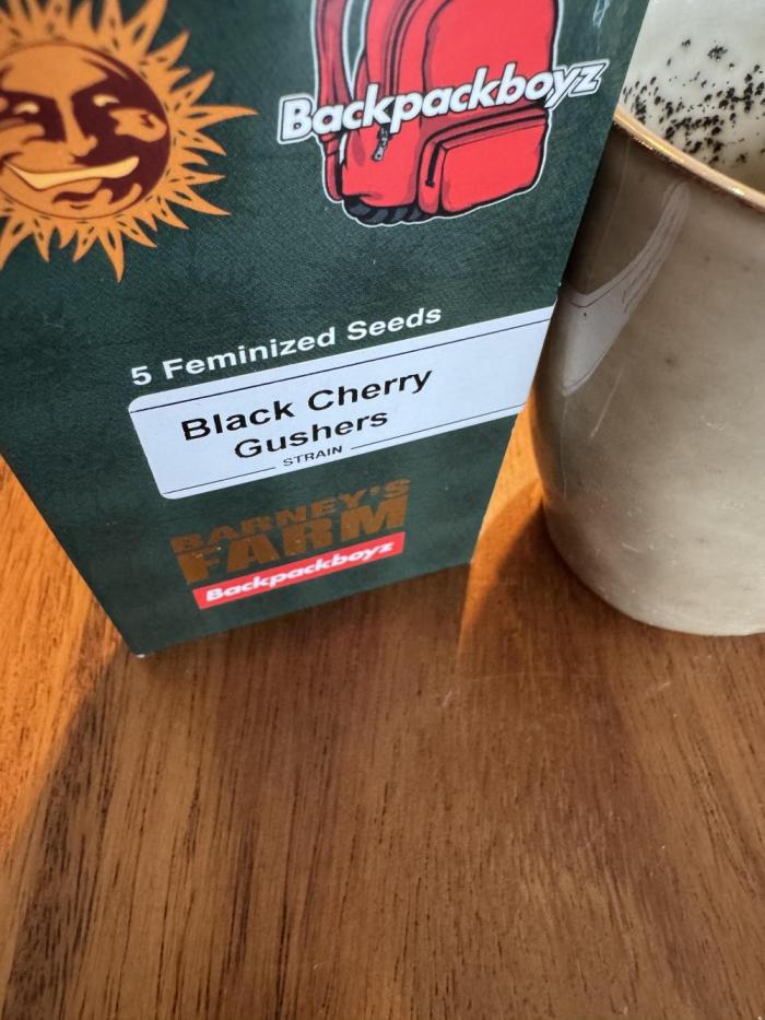 Acai x Black Cherry Funk. Week 0