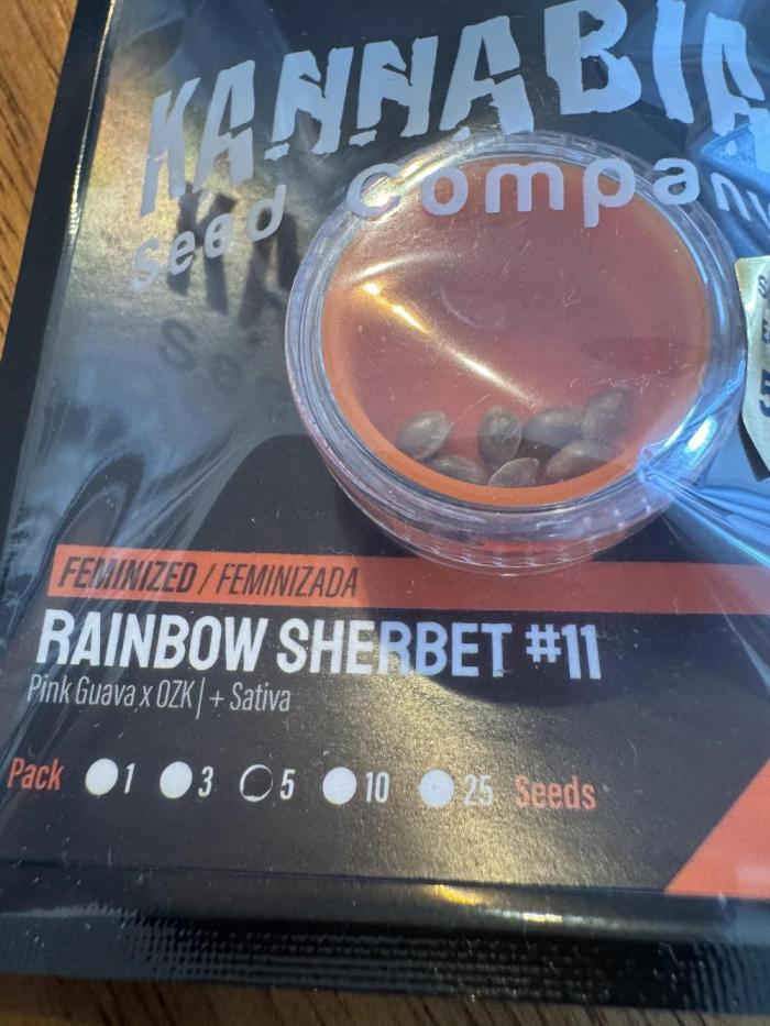 Sherbet Season 🌈. Week 0