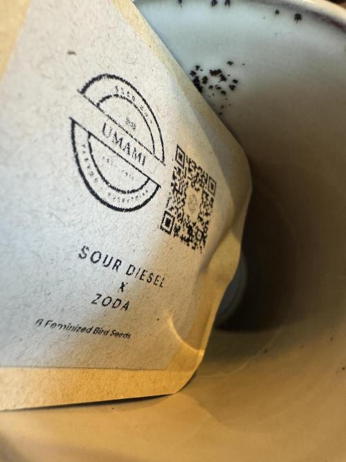 Gas Station ⛽️. Week 0