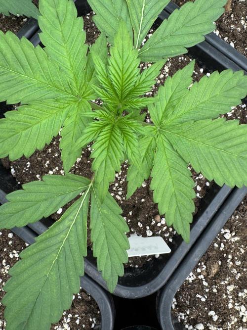 Bottle Bottoms ♻️. Week 2