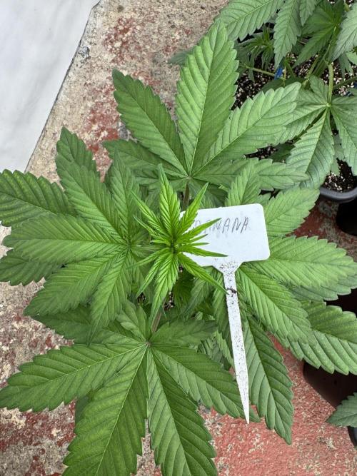 Bottle Bottoms ♻️. Week 3