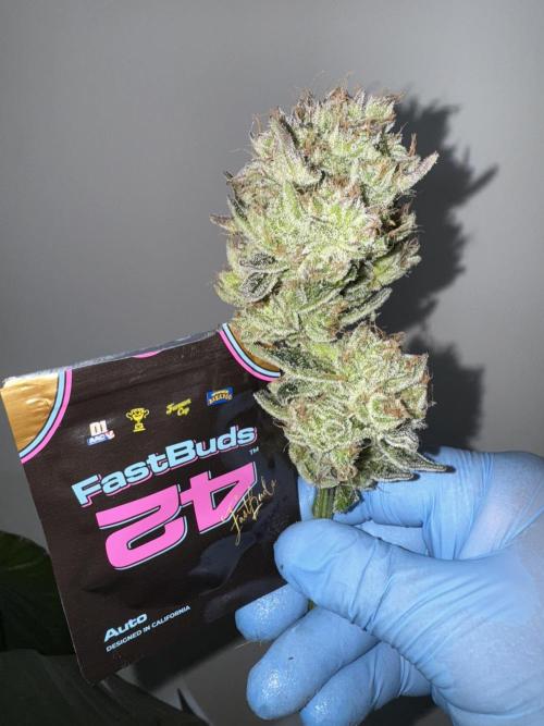 Sweet Crust 🥧. Week 9
