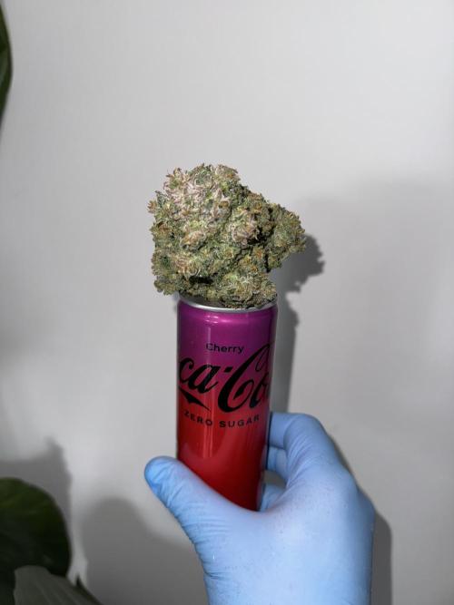 Five Dollar Shake 🍒. Week 9