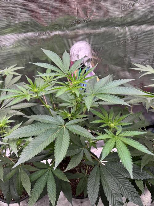 1st clone run 👯‍♀️✂️. Week 1